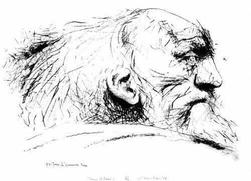 Image of Lear, II by Noel Counihan