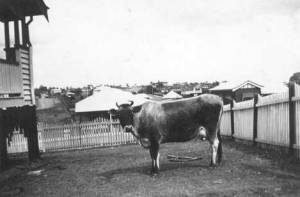 Sally in 1940 - Front yard of 1 Waverly Road Camp Hill